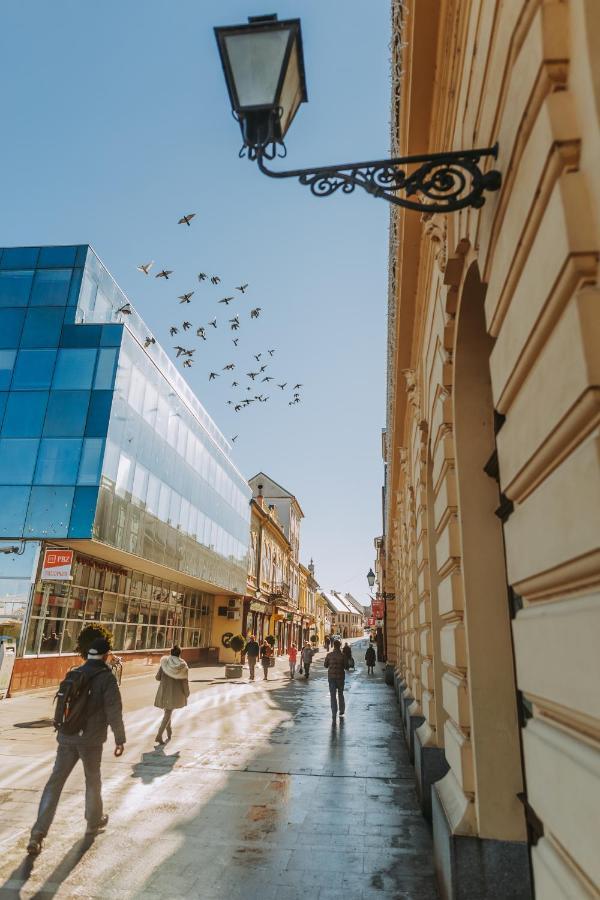 Apartman Stari Toranj Vukovar Exterior foto